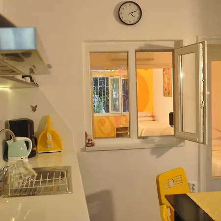 Arlequin * ヴァルナ