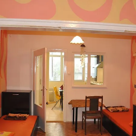 Arlequin * Варна